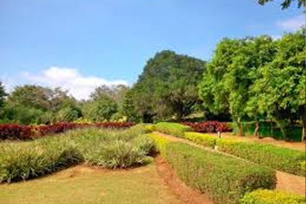 Herbal Garden